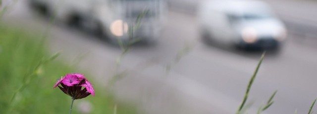 Reductie Co2 verkeer.jpg