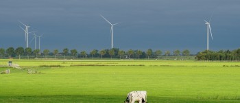 Windmolens weiland.jpg